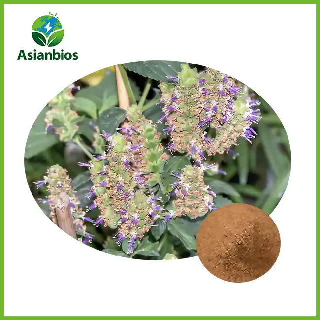 Patchouli Herb Powder Patchouli Herb Powder